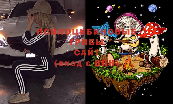 спиды Алзамай