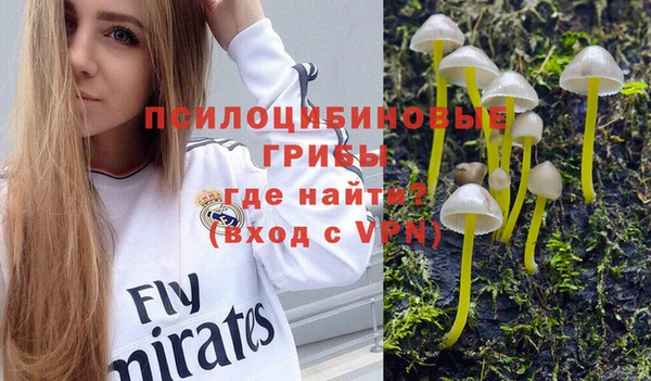 соль курить ск Алексин